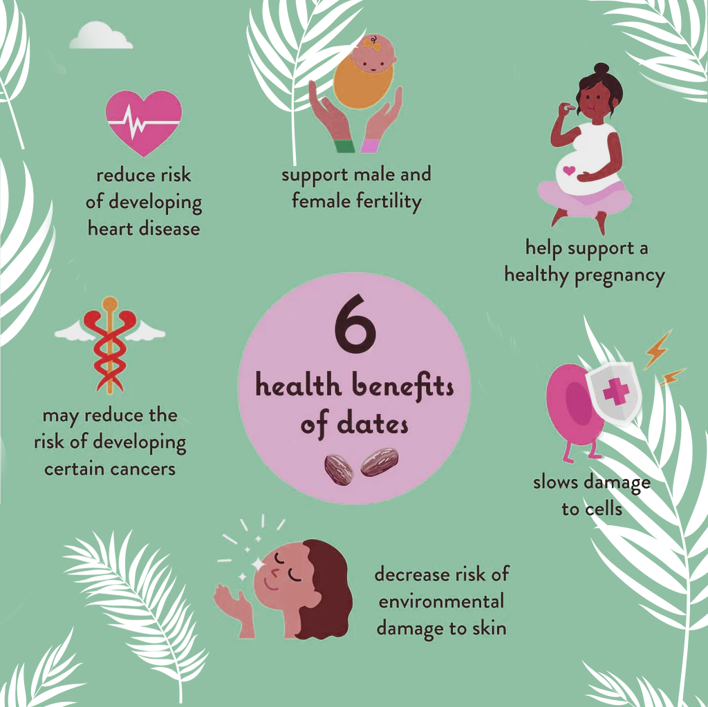 3 Pound Medjool Dates