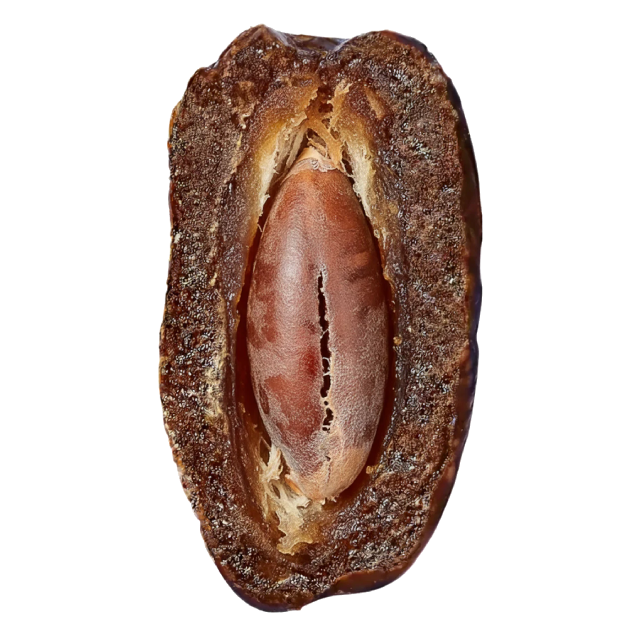 Nutrient-dense, For CaliMedjool